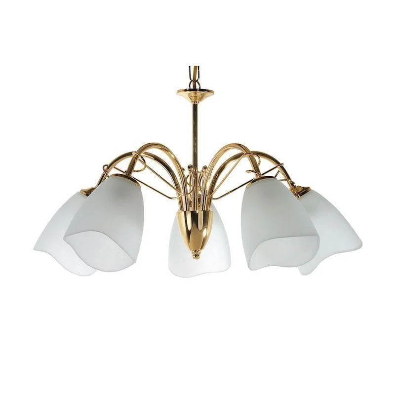 Chandeliers with a Antique Brass Finish for a Timeless LookChandeliers with a Antique Brass Finish for a Timeless LookTurin Polished Brass 5 Light Chandelier