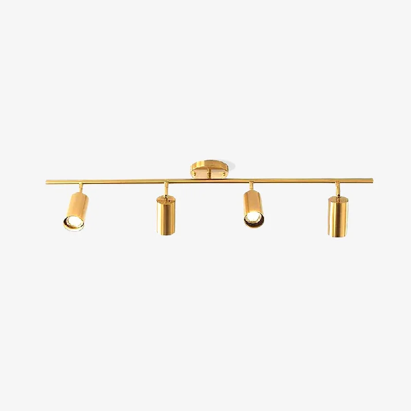 Adjustable Wall Lamps for Task Lighting in BathroomsAdjustable Wall Lamps for Task Lighting in BathroomsCylinder Brass Series Ceiling Lamp